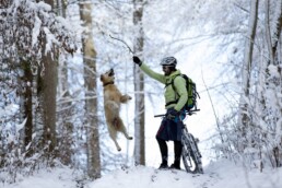 biker in snow with dog