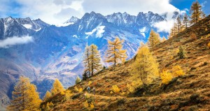 Oktober in Wallis, 2 mountainbikers die fietsen langs een prachtige goudgele bergwand in Zwitserland
