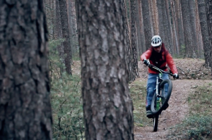 een mountainbiker doet een manual in een bos met grote hoge bomen