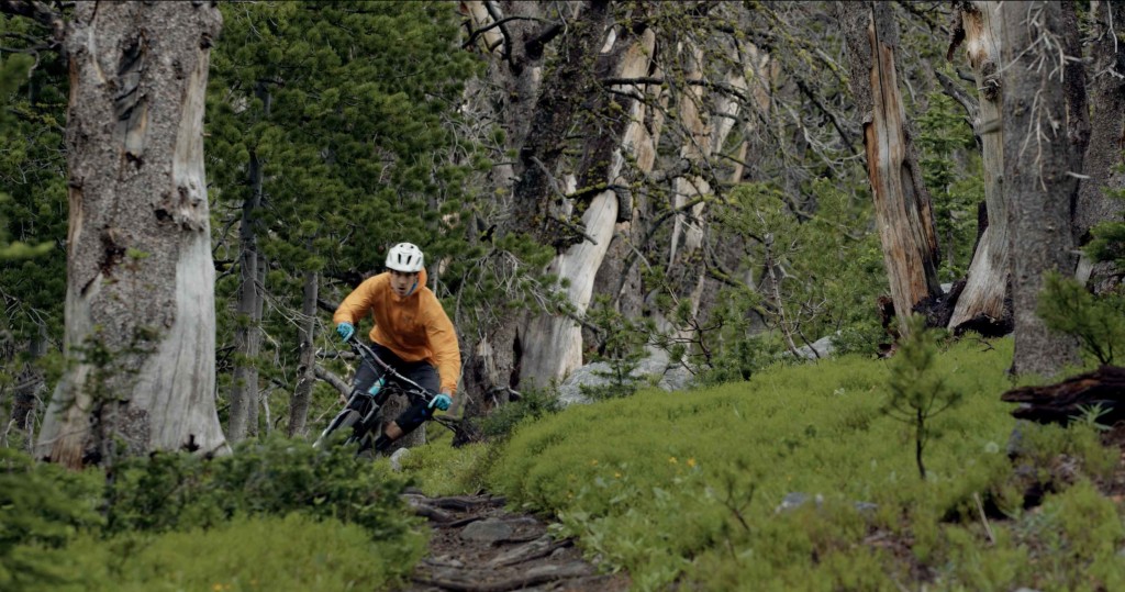 Een mountainbiker duwt zijn bike de bocht door over een trail vol met stenen en wortels. Het bos heeft mooi grijze bomen