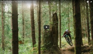 jumpend komt de mountainbiker door het bos over een set wortels in het dicht beboste bos