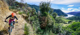 Middin in Nieuw-Zeeland rijdt deze mountainbikster over een trail. Er is een prachtig uitzicht op beboste berg hellingen en een meer in de verte