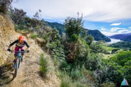 Middin in Nieuw-Zeeland rijdt deze mountainbikster over een trail. Er is een prachtig uitzicht op beboste berg hellingen en een meer in de verte