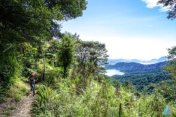 Een mountainbiker rijdt over een trail in Nieuw-Zeeland met uitzicht op een mooi bos en een meer in de verte