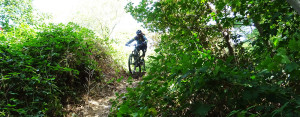 Basta bikes rider is dropping in the trail