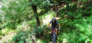 2 mountainbikers riding in the forest of chaudfontaine