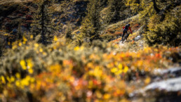 Herfst kleuren op de mountainbike trails in de Alpen