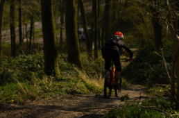 Trails in Zuid Limburg