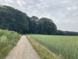 Start naar het Reichswald gravel route Groesbeek